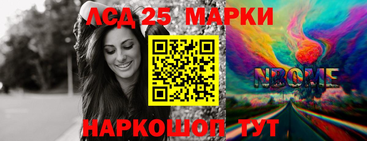 Курчатов  Лсд 25 экстази  Вход с VPN  ЛСД экстази ecstasy  Лсд 25 экстази ecstasy 