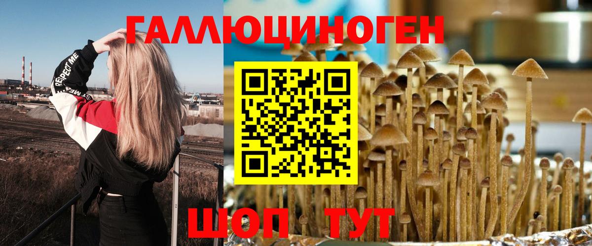 Галлюциногенные грибы Psilocybe  Вход с VPN  Курчатов  Галлюциногенные грибы MAGIC MUSHROOMS 