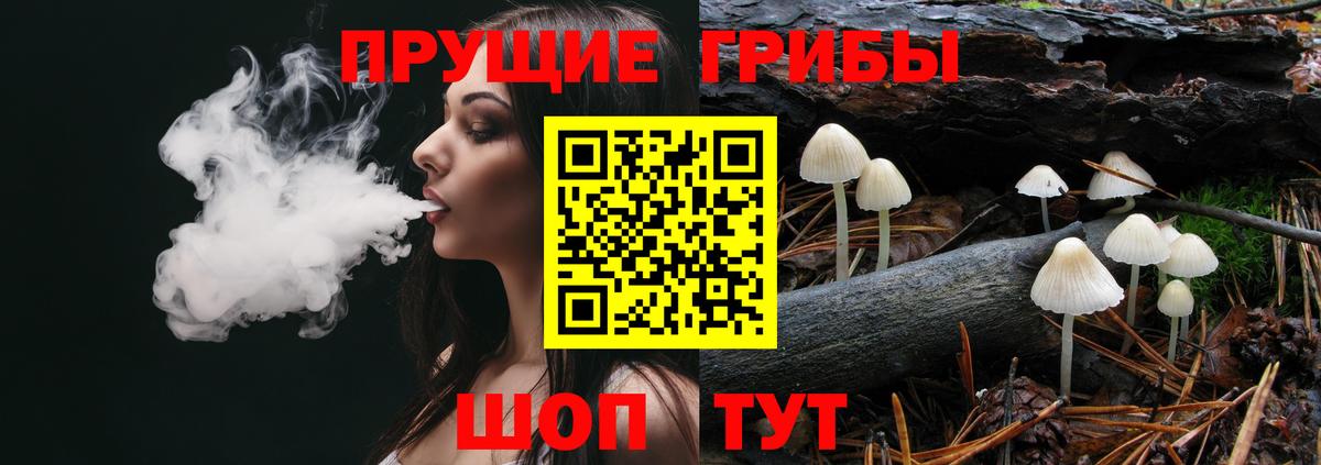 Псилоцибиновые грибы Psilocybine cubensis Курчатов
